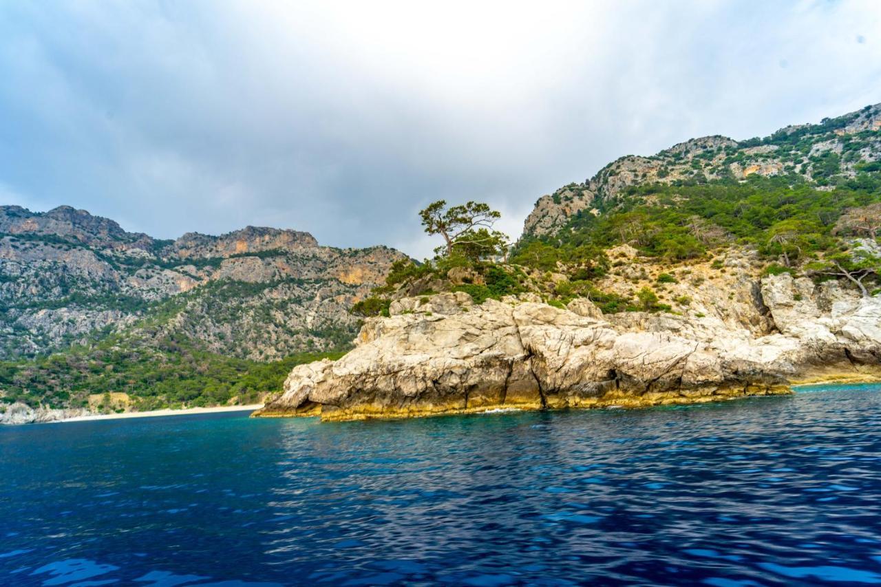 Manzara Bungalow Bed and Breakfast Φετιγιέ Εξωτερικό φωτογραφία